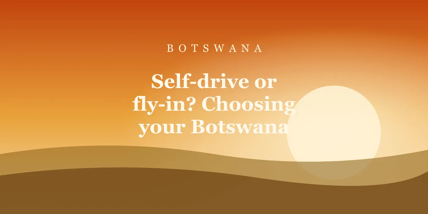 Self-drive or fly-in? Choosing your Botswana safari