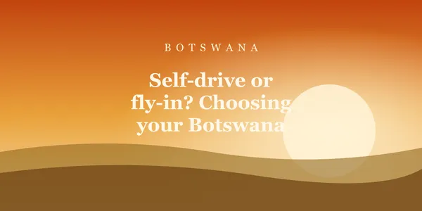 Self-drive or fly-in? Choosing your Botswana safari
