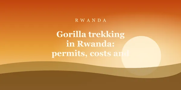 Gorilla trekking in Rwanda: permits, costs and what to expect