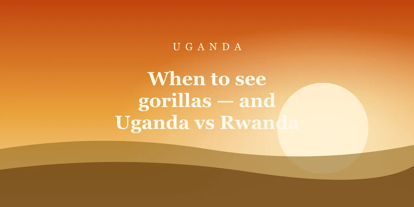 When to see gorillas — and Uganda vs Rwanda