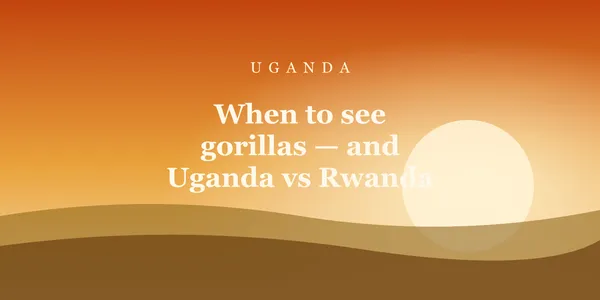 When to see gorillas — and Uganda vs Rwanda